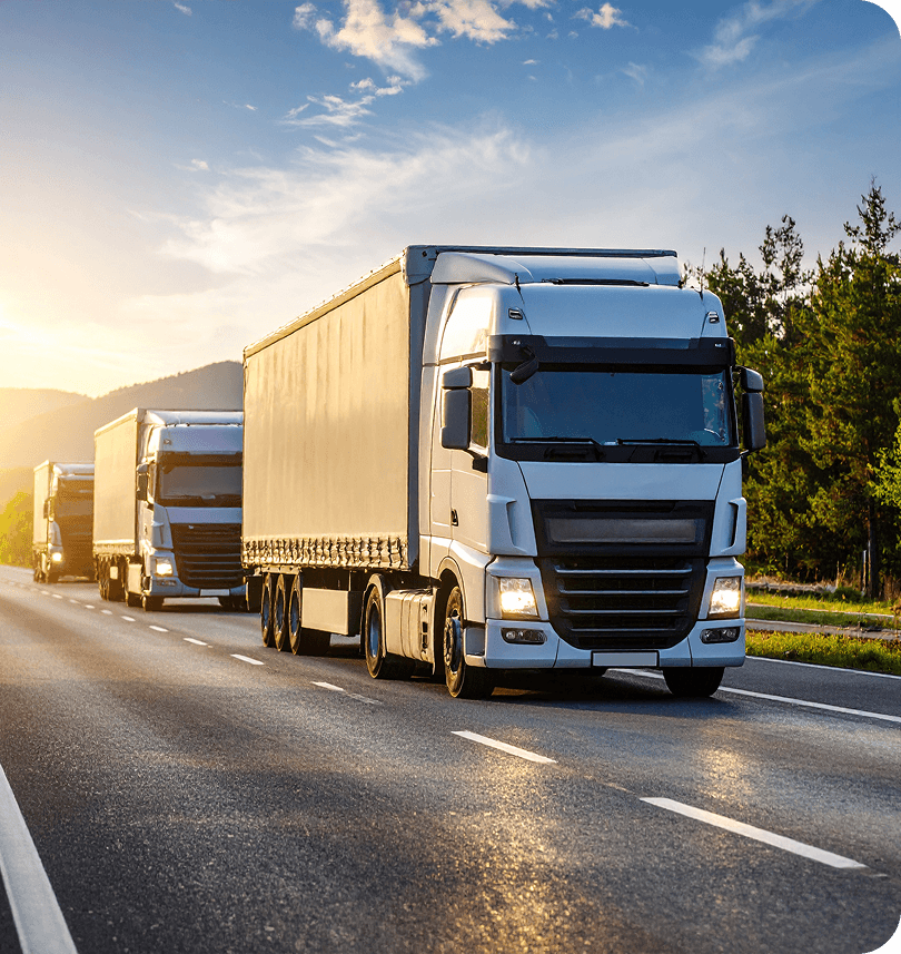 TransVista Background